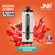 Boite de 10 JNR Shisha Storm 52k