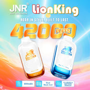 Boite de 10 Jnr 42K Lions king