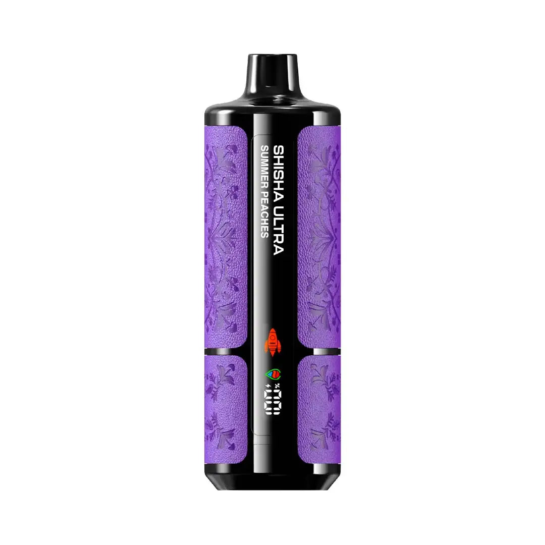 Boite de 10 JNR Shisha Max 45k